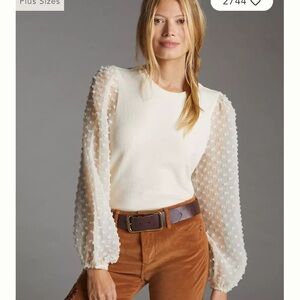 Sheer Textured Sleeve Top